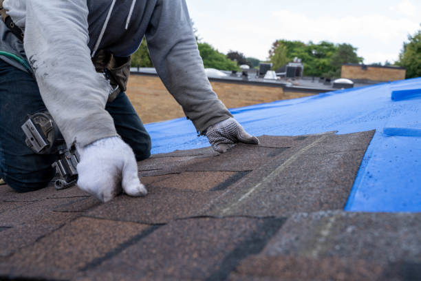 Best Residential Roofing Contractor  in Badieville, LA